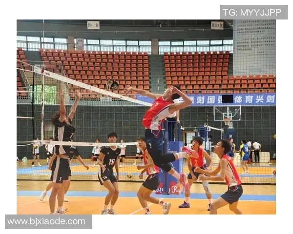 重庆排球队实力强劲荣登全国排球实力排行榜第五名